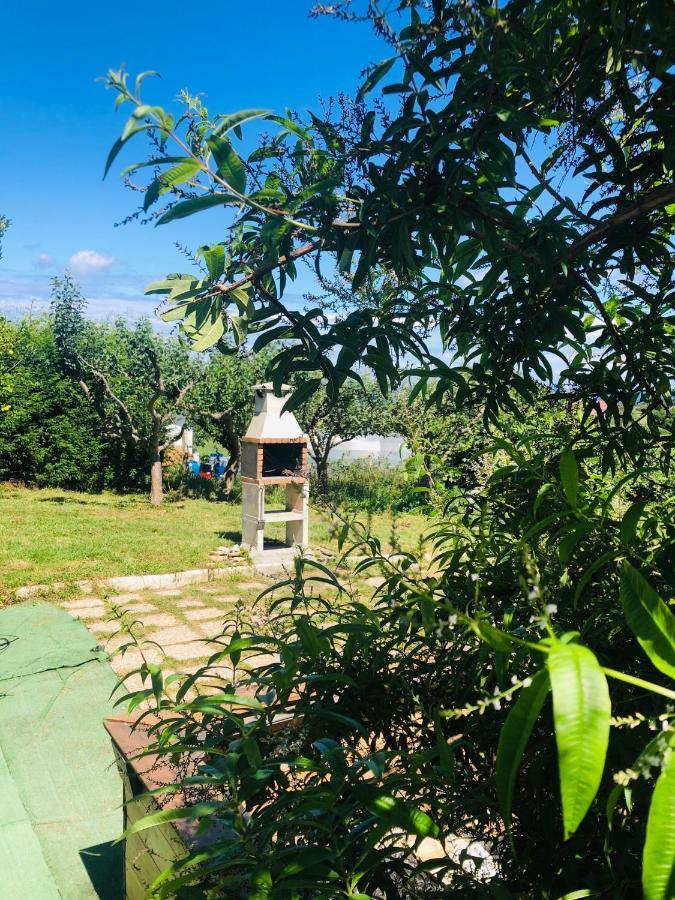 Vila Camelia Casina Rural Albuerne Exteriér fotografie