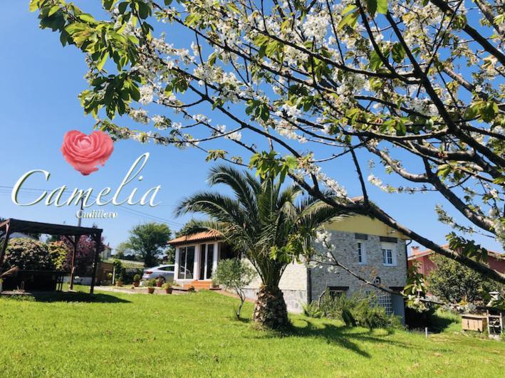 Vila Camelia Casina Rural Albuerne Exteriér fotografie