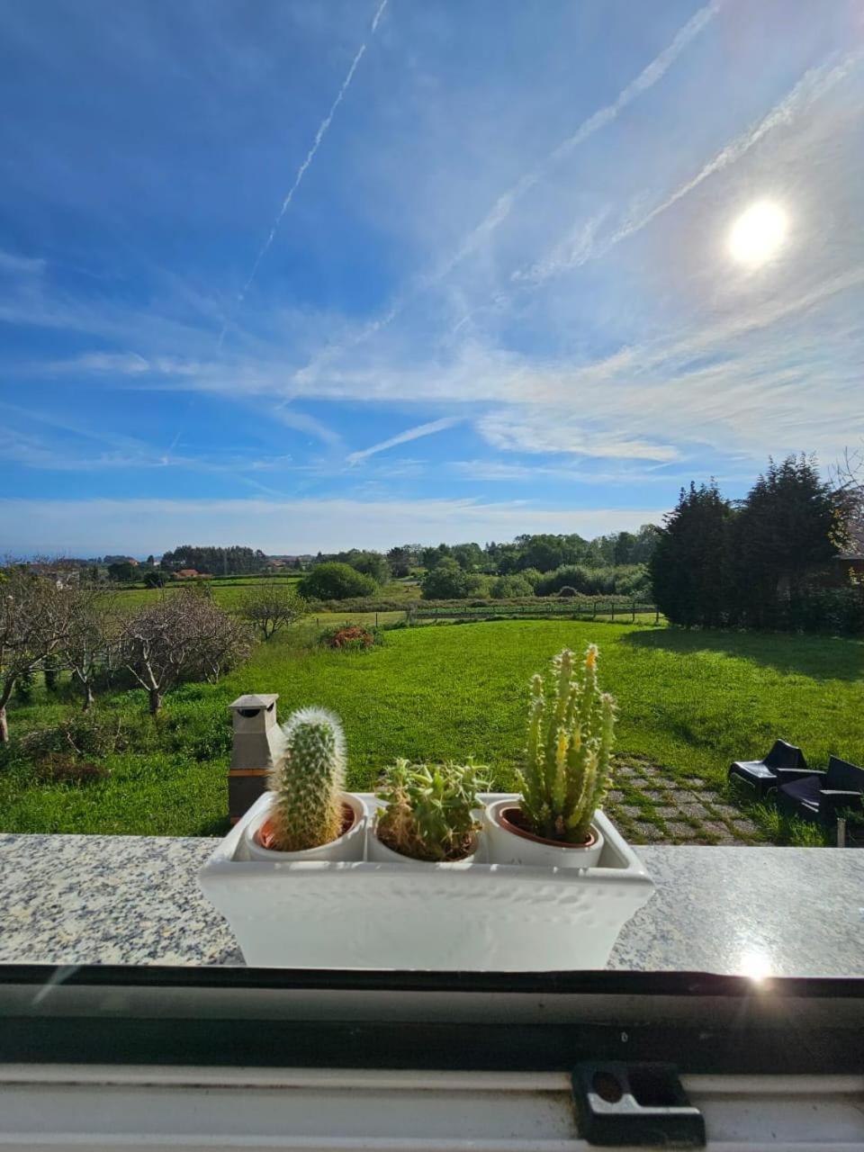 Vila Camelia Casina Rural Albuerne Exteriér fotografie